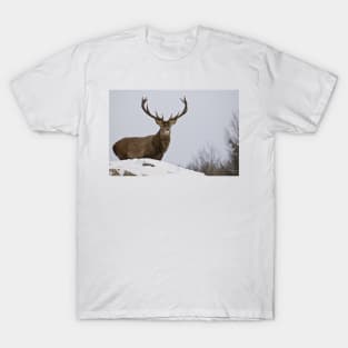 Elk On Hill T-Shirt